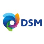 DSM-150