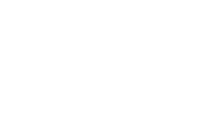 fronnt-logo-subsidiaries-sanitel-2023-resize